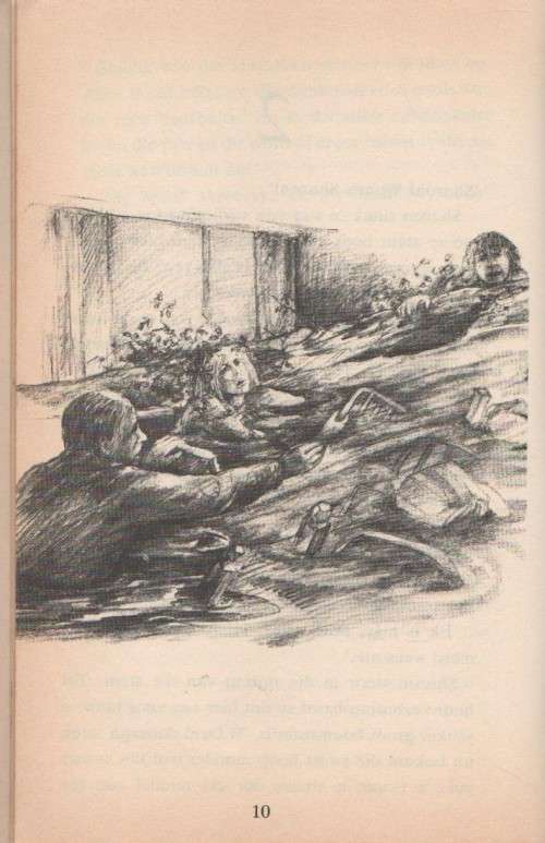 REDDING IN DIE REEN - JENNY SEED (1 ste uitgawe 1990)