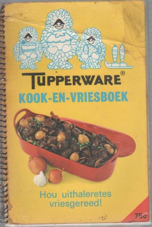TUPPERWARE KOOK-EN-VRIESBOEK - MICHAEL OLIVIER (TUPPERWARE COOK `N FREEZE BOOK)
