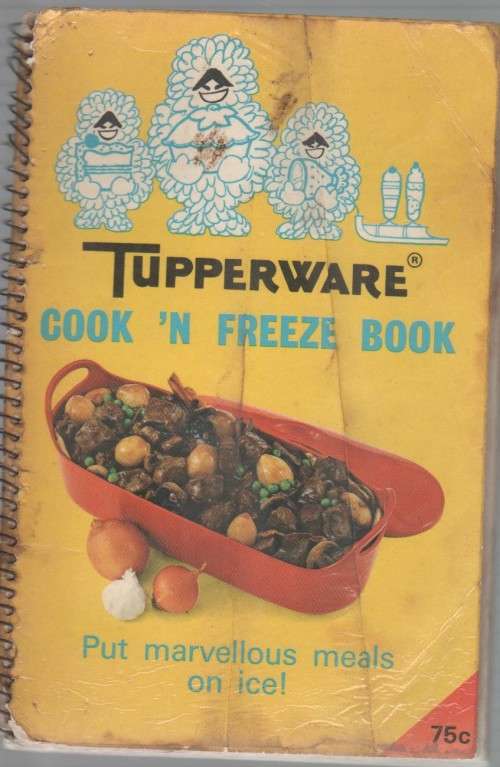 TUPPERWARE KOOK-EN-VRIESBOEK - MICHAEL OLIVIER (TUPPERWARE COOK `N FREEZE BOOK)
