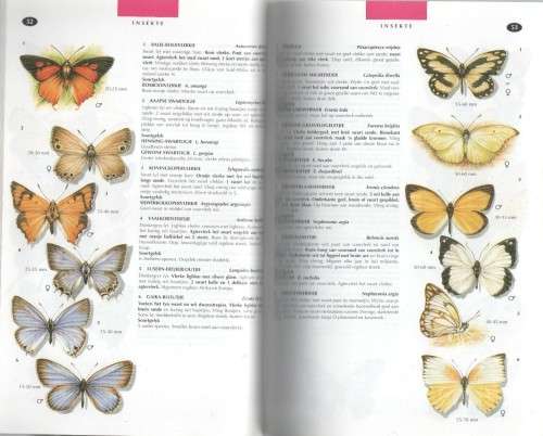 DIE NATUURLEWE VAN SUIDER-AFRIKA, `N VELDGIDS - VINCENT CARRUTHERS (1997)