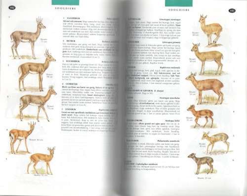 DIE NATUURLEWE VAN SUIDER-AFRIKA, `N VELDGIDS - VINCENT CARRUTHERS (1997)