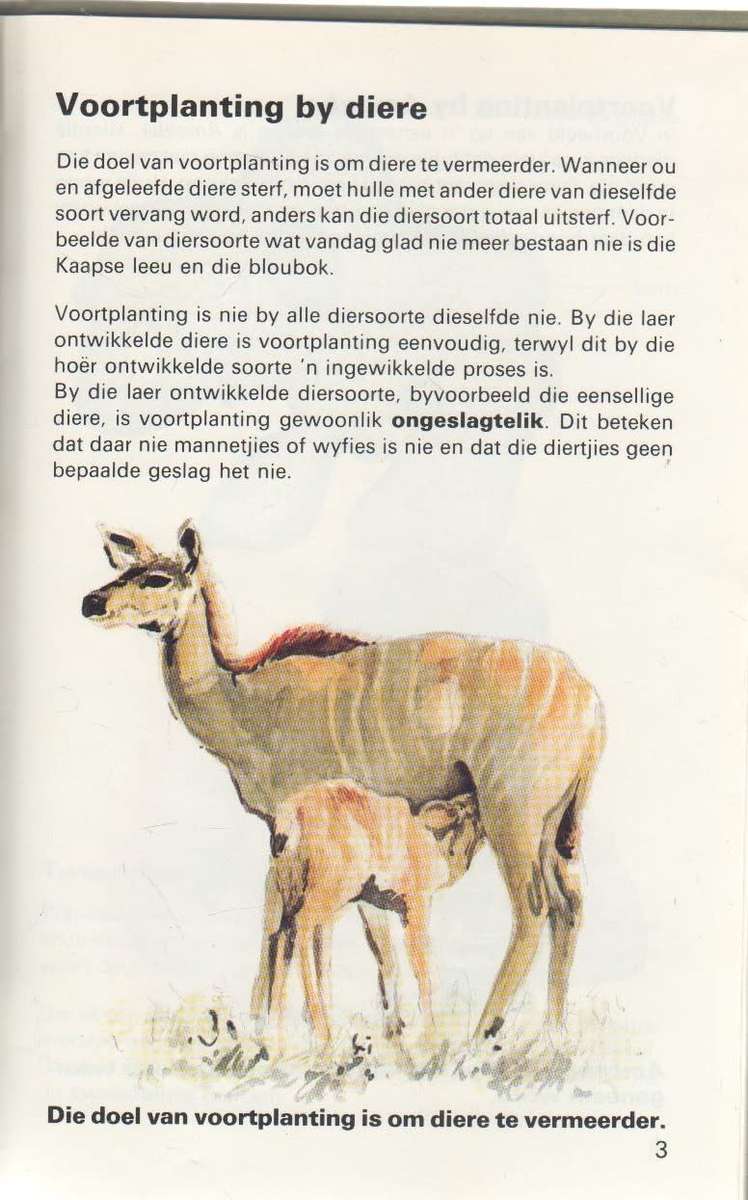ONTDEK VOORTPLANTING - J J DE BEER (1 STE UITGAWE 1983)