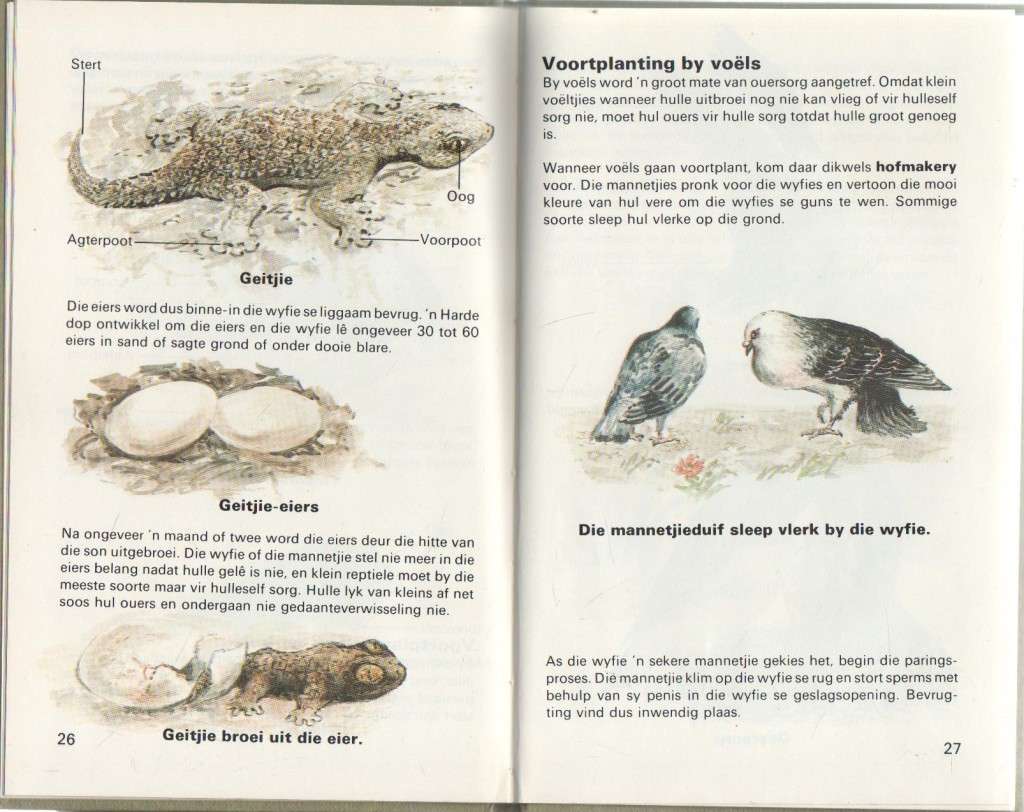 ONTDEK VOORTPLANTING - J J DE BEER (1 STE UITGAWE 1983)
