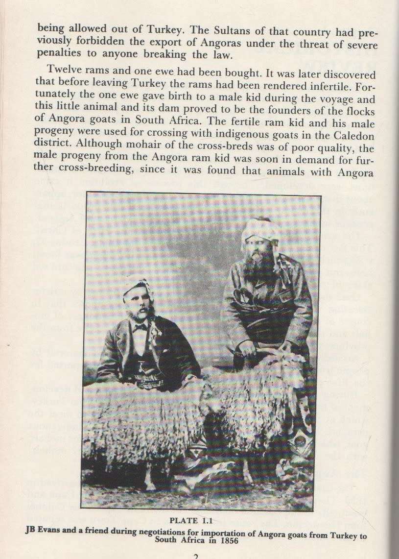 ANGORA GOATS AND MOHAIR IN SOUTH AFRICA - JM VAN DER WESTHUYSEN, D WENTZEL AND MC GROBLER (1985)