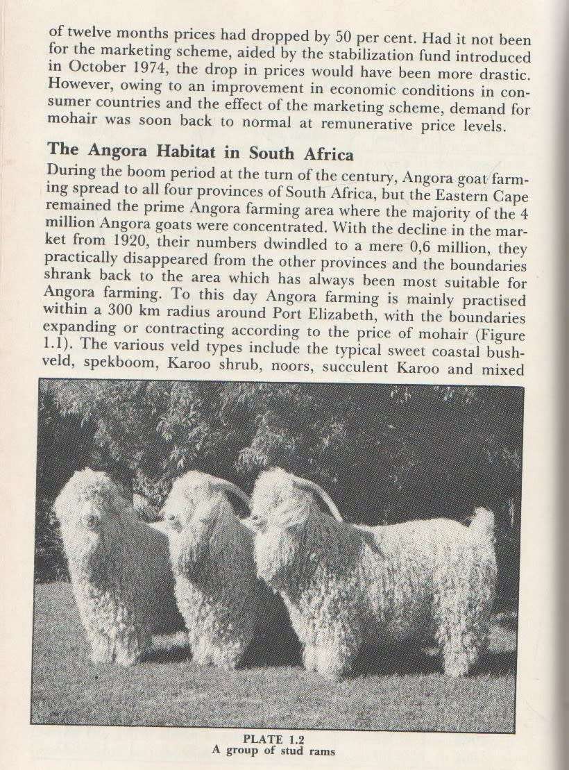 ANGORA GOATS AND MOHAIR IN SOUTH AFRICA - JM VAN DER WESTHUYSEN, D WENTZEL AND MC GROBLER (1985)