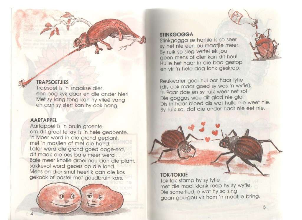 VERSIES VIR WOELWATERS - G S ENGELBRECHT (1 STE UITGAWE 1989) VLAK 3