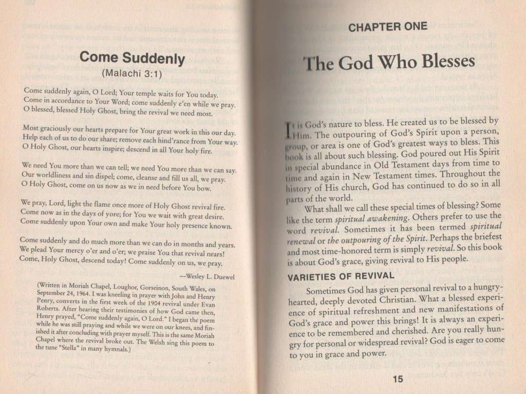 REVIVAL FIRE - WESLEY DUEWEL (1995)