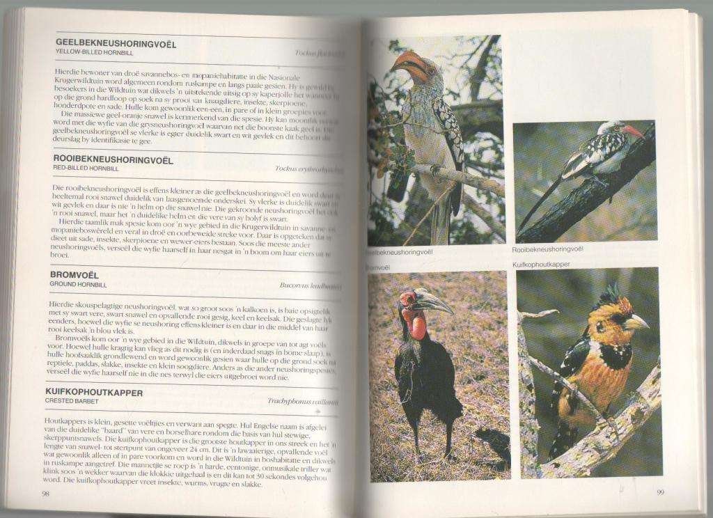 DIERE VAN DIE NASIONALE KRUGERWILDTUIN - G DE GRAAFF (1 STE UITGAWE 1987)