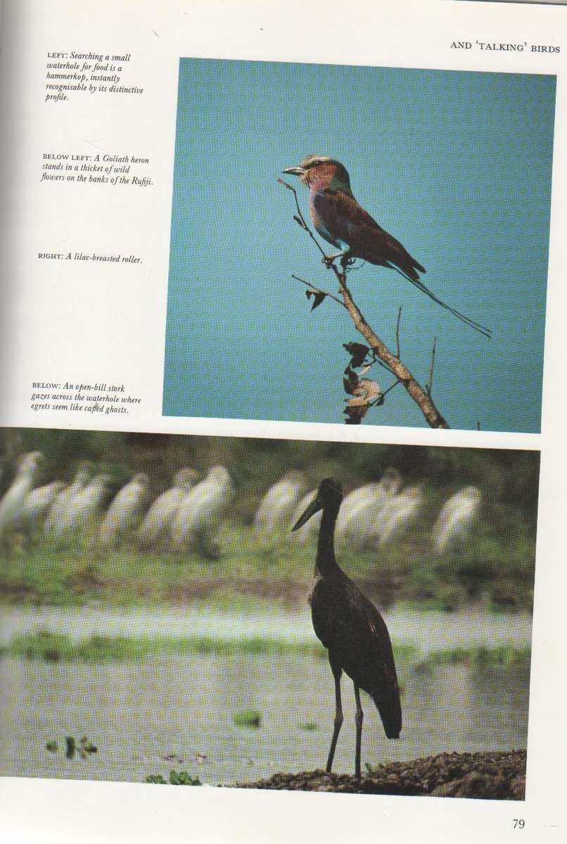 SECRET EDEN  AFRICA'S ENCHANTED WILDERNESS- ERIC ROBINS (1 ST PUBLISHED 1980)