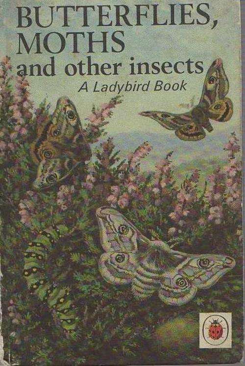 BUTTERFLIES, MOTHS AND OTHER INSECTS, A LADYBIRD BOOK