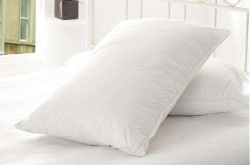 2 Pack Standard size SOFT TOUCH POLYESTER PILLOWS