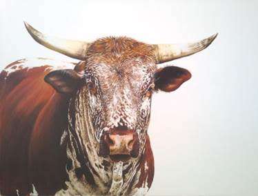 TRANSFER ANY PHOTO ONTO WOOD A4 SIZE