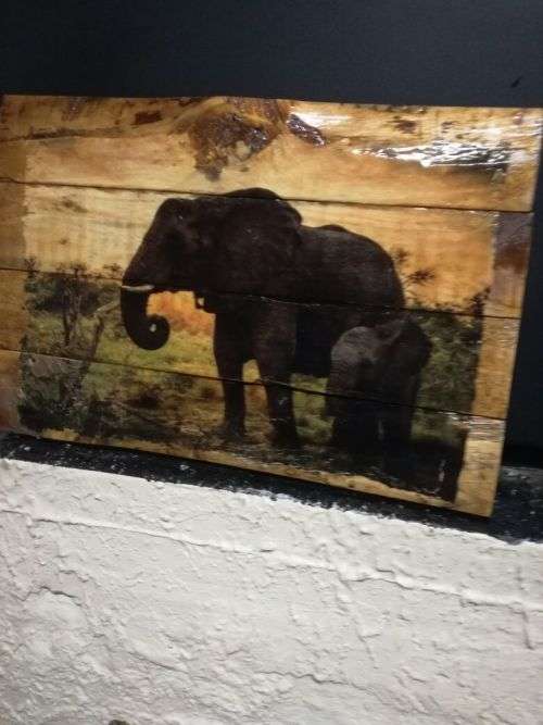 TRANSFER ANY PHOTO ONTO WOOD A4 SIZE