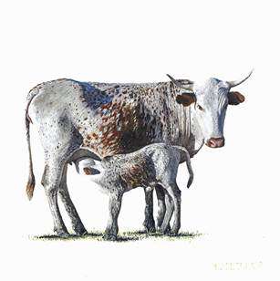 TRANSFER ANY PHOTO ONTO WOOD A4 SIZE