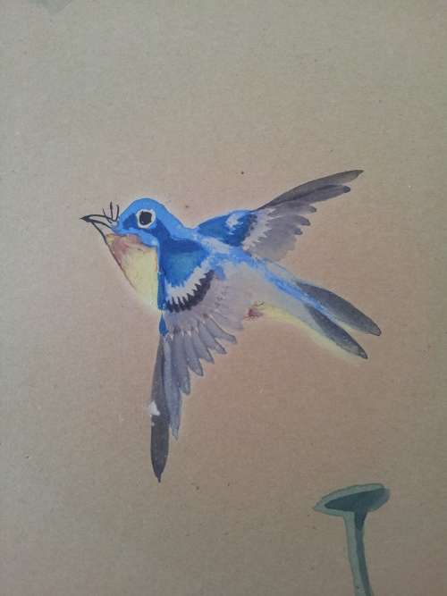 Toshio Aoki (1853-1912). Original Watercolour. Orchids and Hummingbird