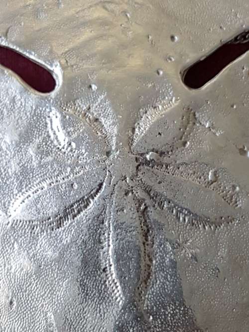 Huge Life Size Solid Sterling Silver  Pansy Shell Pendant. 56.4 grams of solid silver!!