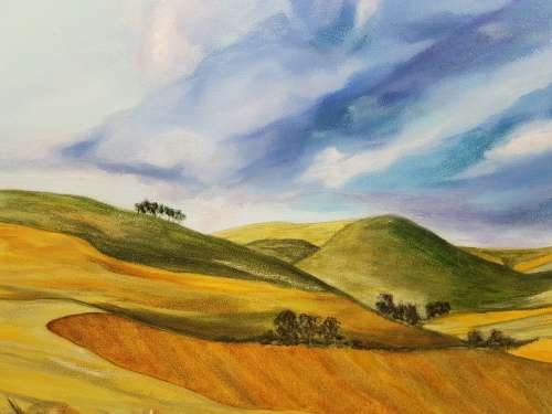 Hester de Vos. Original Oil . Massive . Overberg Landscape with Abstract elements.