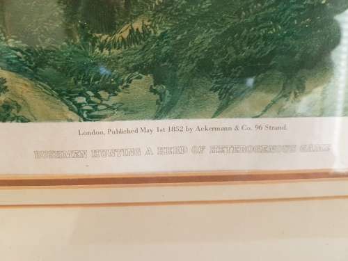 Thomas Baines. Bushmen hunting a herd of heterogenous game. LARGE PRINT, FRAMED.