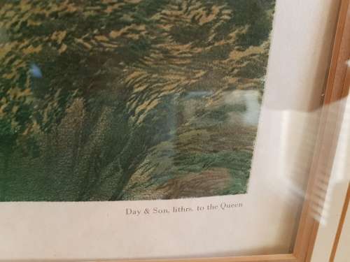 Thomas Baines. Bushmen hunting a herd of heterogenous game. LARGE PRINT, FRAMED.