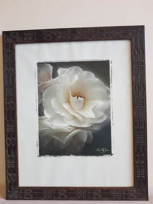 Print of a Rose in an Ornate Art Nouveau Frame by Tricia May Jones.