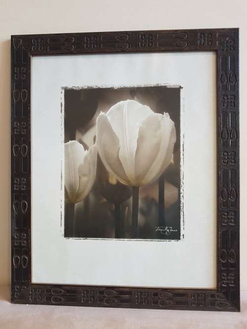 Print of a Tulip in an Ornate Art Nouveau Frame by Tricia May Jones.