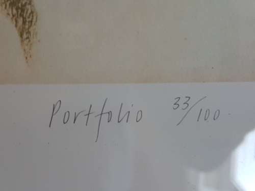 Irma Stern.Limited Edition Portfolio Print. Wine farm labourer with grapes. Excellent cond. , Framed