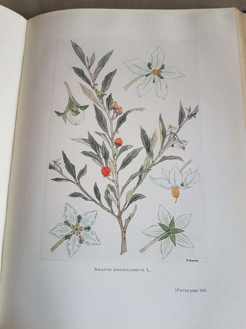 The Medicinal and Poisonous Plants of Southern Africa being An Account of their Medicinal Uses. VG+