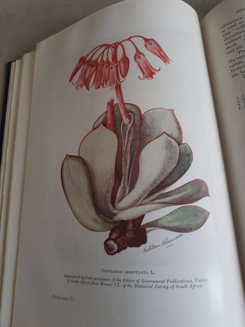 The Medicinal and Poisonous Plants of Southern Africa being An Account of their Medicinal Uses. VG+