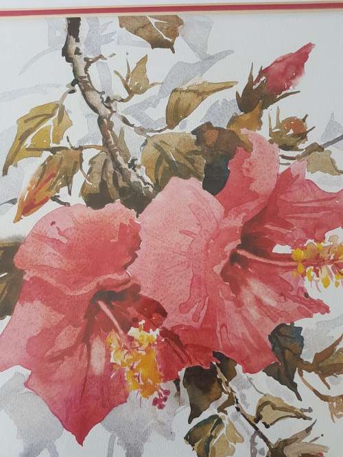 Lucy M. Wiles. Original watercolour. Red Azalia Flowers. Signed and framed. Excellent condition