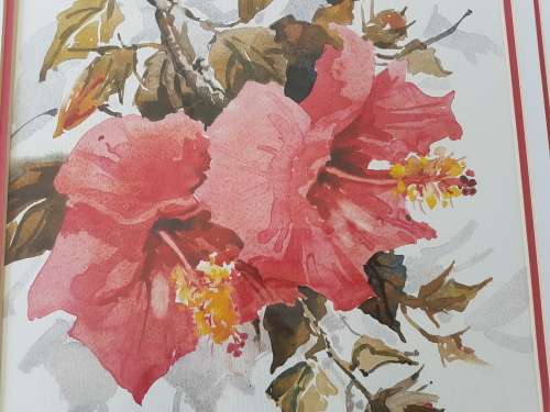 Lucy M. Wiles. Original watercolour. Red Azalia Flowers. Signed and framed. Excellent condition