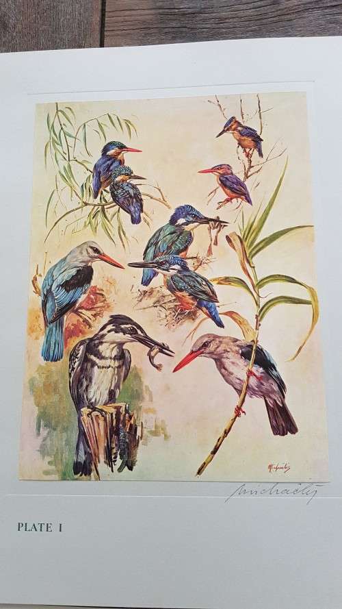 Our Birds. Second Series. First Printing. 8 Colour Plates SIGNED BY HEINIIE VON MICHAELIS.