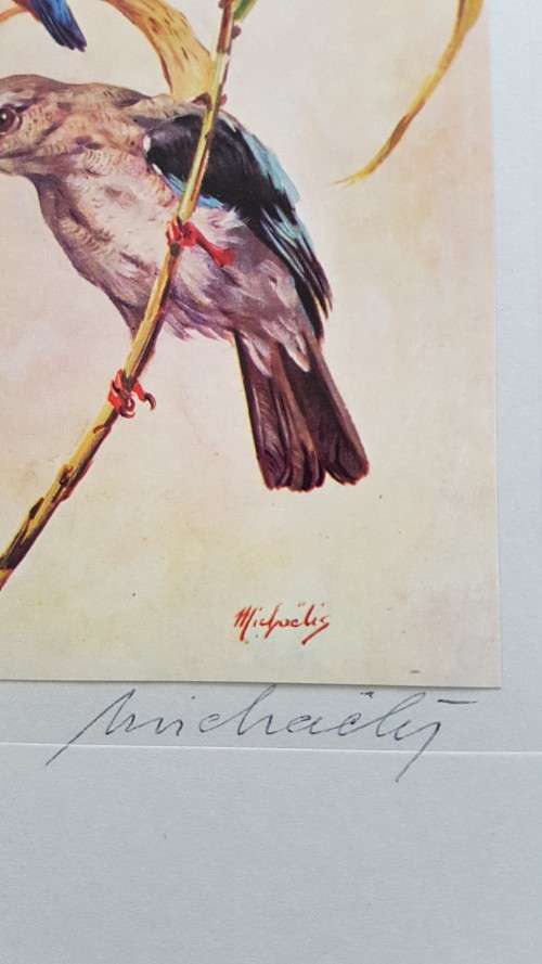 Our Birds. Second Series. First Printing. 8 Colour Plates SIGNED BY HEINIIE VON MICHAELIS.