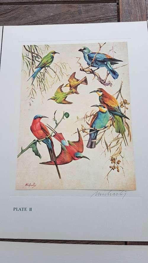 Our Birds. Second Series. First Printing. 8 Colour Plates SIGNED BY HEINIIE VON MICHAELIS.