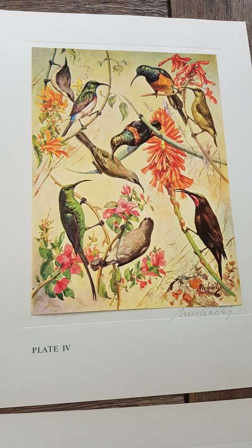 Our Birds. Second Series. First Printing. 8 Colour Plates SIGNED BY HEINIIE VON MICHAELIS.