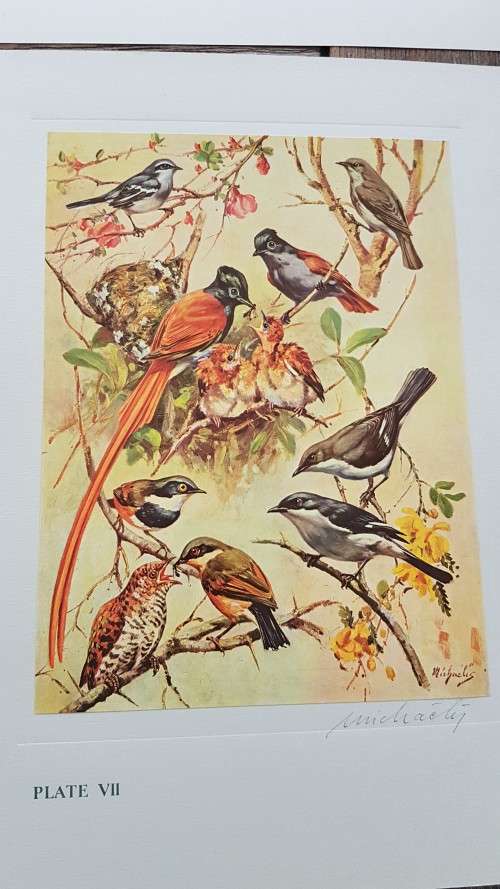 Our Birds. Second Series. First Printing. 8 Colour Plates SIGNED BY HEINIIE VON MICHAELIS.