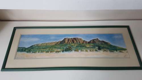 Spring Morning - Clear Mountain 47/200. By David.  From Claremont, Cape Town. Framed. Excellentcond.