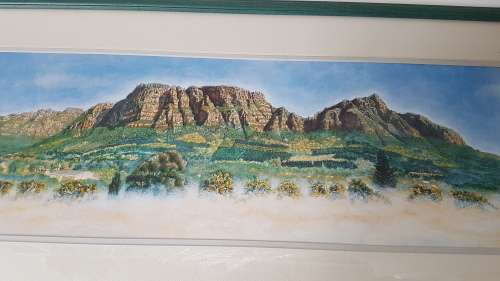 Spring Morning - Clear Mountain 47/200. By David.  From Claremont, Cape Town. Framed. Excellentcond.
