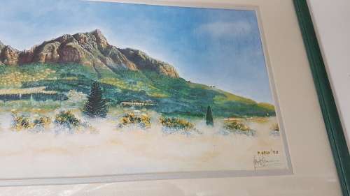 Spring Morning - Clear Mountain 47/200. By David.  From Claremont, Cape Town. Framed. Excellentcond.