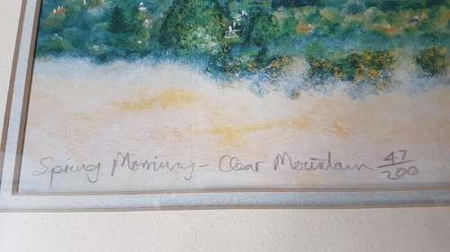 Spring Morning - Clear Mountain 47/200. By David.  From Claremont, Cape Town. Framed. Excellentcond.