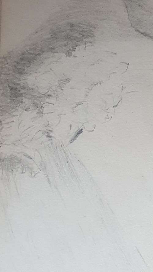 Original 1904 Pencil Drawing of Edwardian Lady signed M.J. Whiteley, dated April 1904.