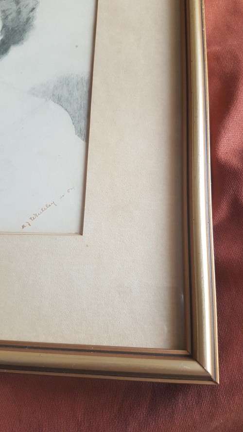 Original 1904 Pencil Drawing of Edwardian Lady signed M.J. Whiteley, dated April 1904.