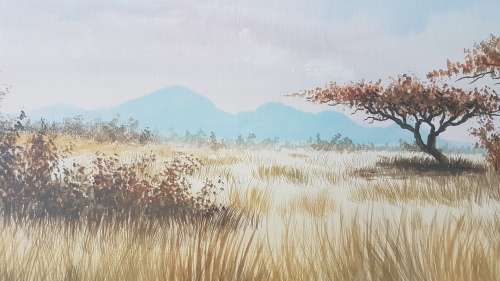 Ron Waldeck (1949- ). Tree on the Bushveld. Original painting.  Framed. Excellent condition. HUGE