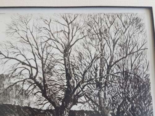 Tinus de Jongh.  Wemmershoek, Cape. Signed etching, framed. Clear dark imprint. Non-reflective glass