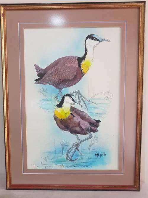 Riana Augustyn. African Jacana. Stunning Bird Painting , Framed and Signed, with Title.