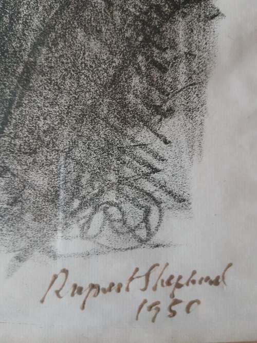 Rupert Shephard. Portrait of a young woman. 1950.  Stone Lithograph. Signed and dated.