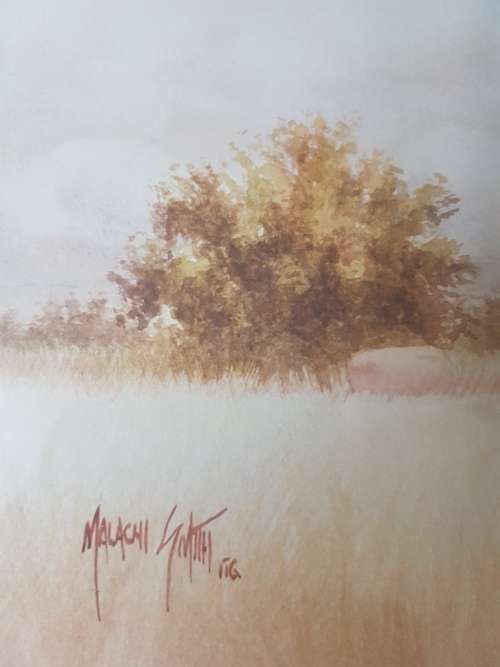 Malachi Smith (1948-1912 ). Bushveld  Scene . Original Watercolour. Study of Trees, Grass,  Boulders