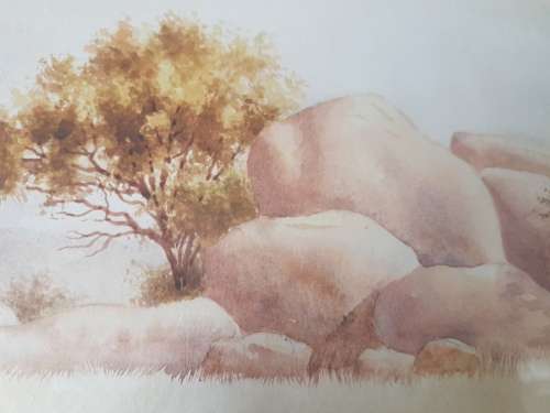 Malachi Smith (1948-1912 ). Bushveld  Scene . Original Watercolour. Study of Trees, Grass,  Boulders