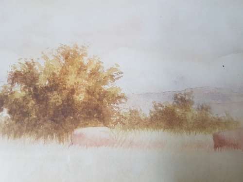 Malachi Smith (1948-1912 ). Bushveld  Scene . Original Watercolour. Study of Trees, Grass,  Boulders