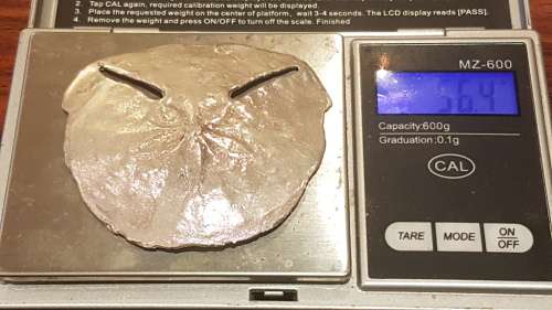 Huge Life Size Solid Sterling Silver  Pansy Shell Pendant. 56.4 grams of solid silver!!