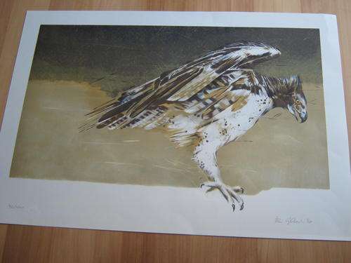 REDUCED: Eagle by Vic Guhrs - top  African wildlife artist. Limited hand signed numbered lithograph